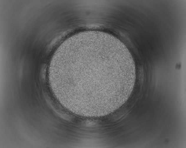 X0000115670495200912241423