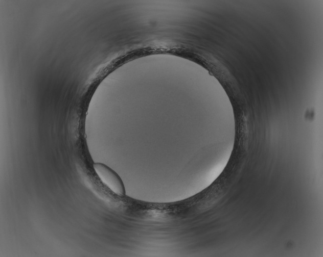 X0000115670496200912241423