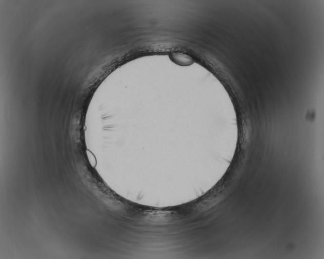 X0000115670497200912241423