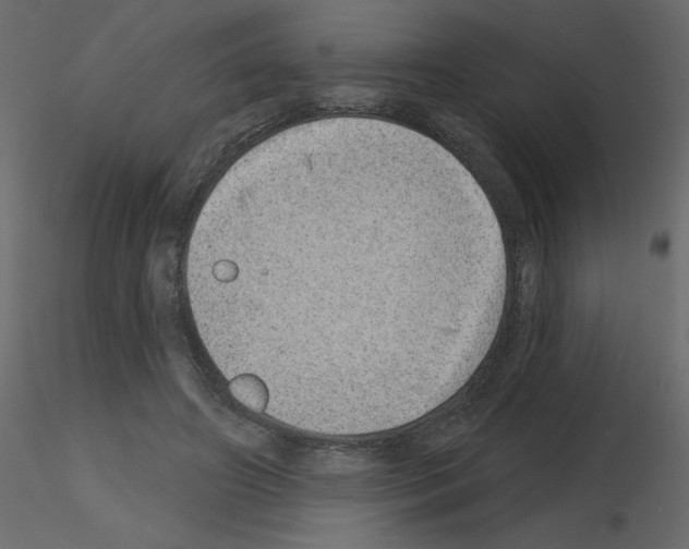 X0000115670498200912241423