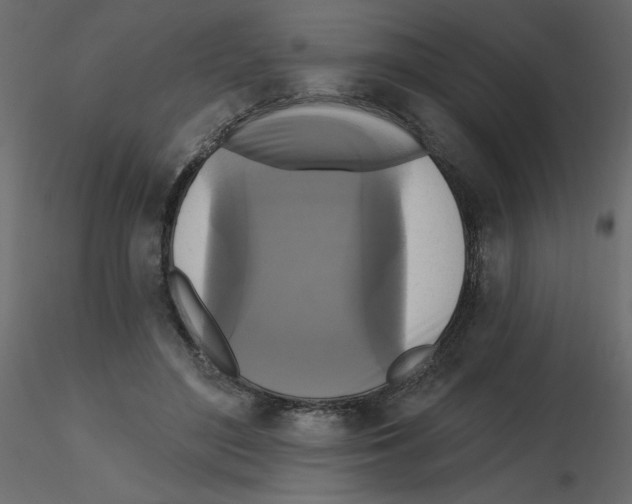 X0000115670500200912241422