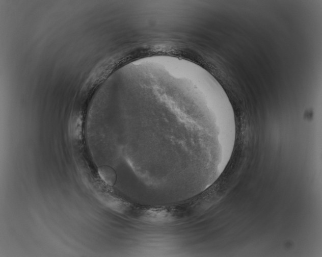 X0000115670502200912241422