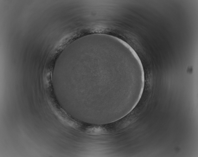 X0000115670503200912241422