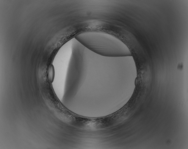 X0000115670504200912241422