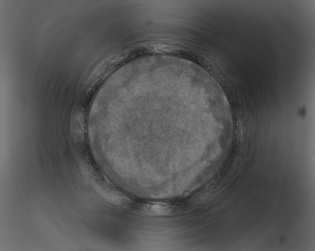 X0000115670506200912241422