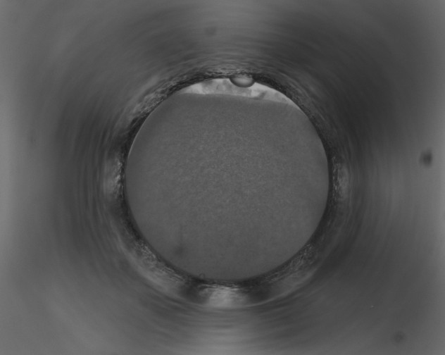 X0000115670507200912241422