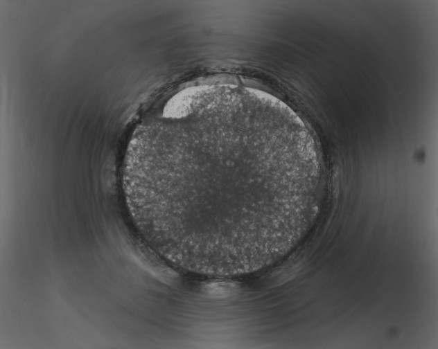 X0000115670508200912241422