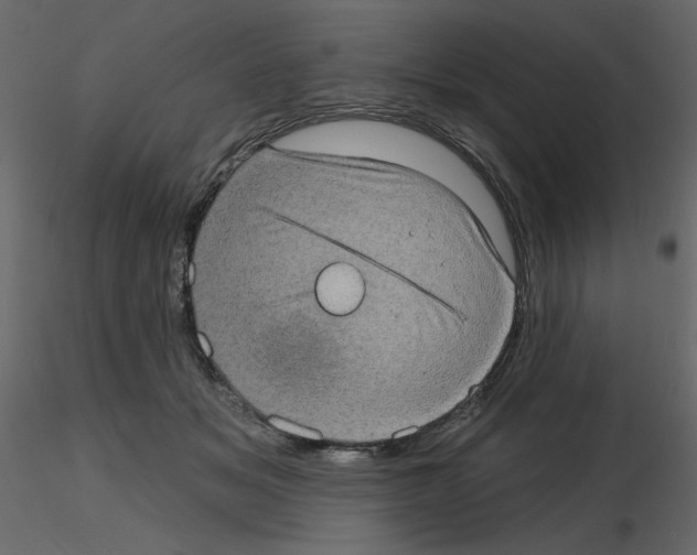 X0000115670509200912241422