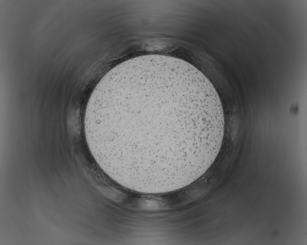 X0000115670510200912241422