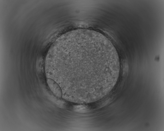 X0000115670511200912241422