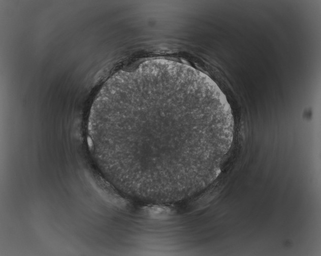 X0000115670512200912241422