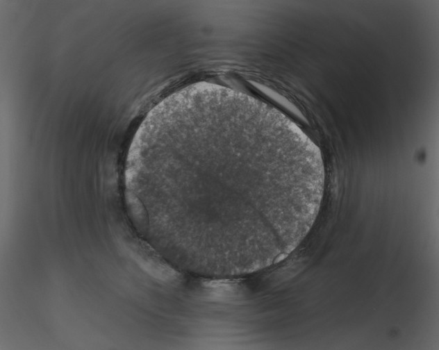 X0000115670516200912241422