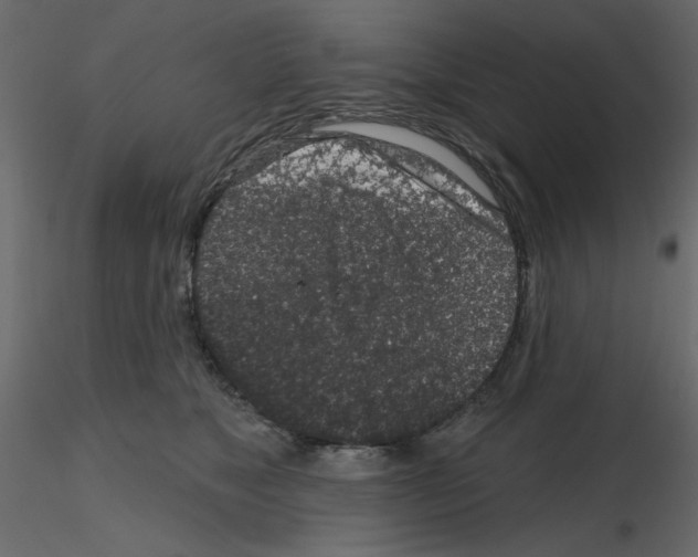 X0000115670517200912241422