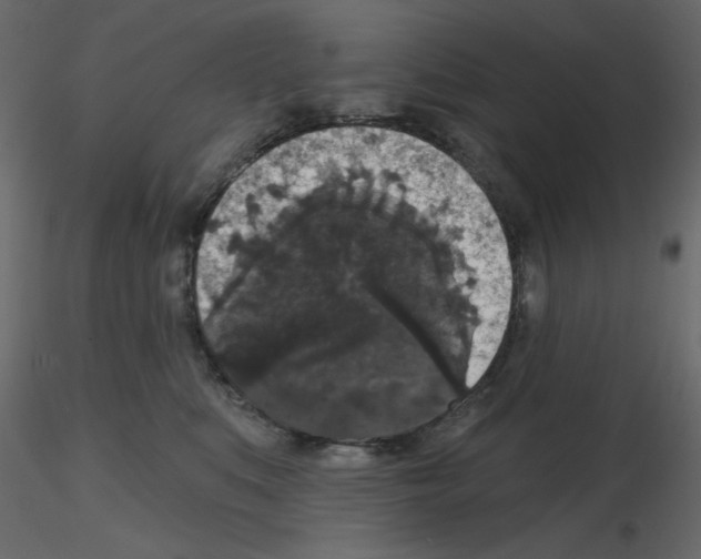 X0000115670519200912241422