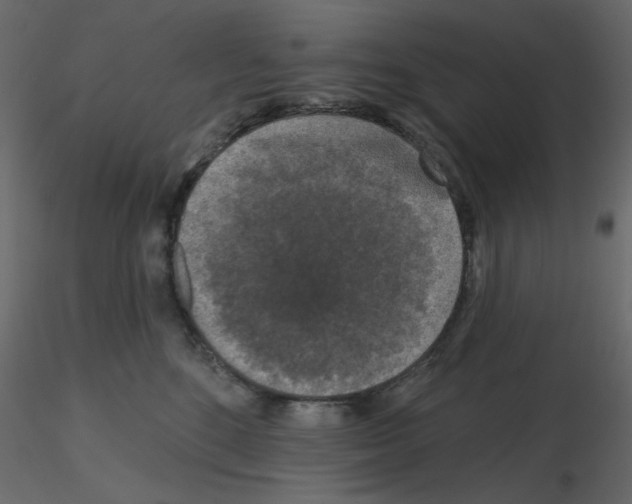 X0000115670520200912241422