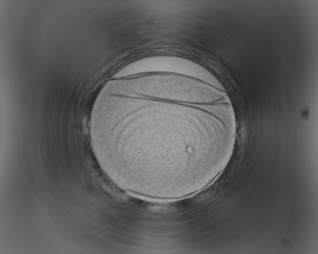 X0000115670521200912241422