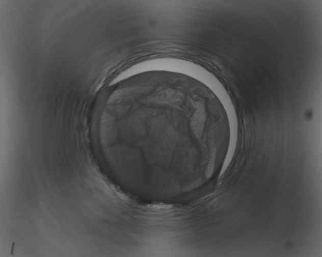 X0000115670524200912241422