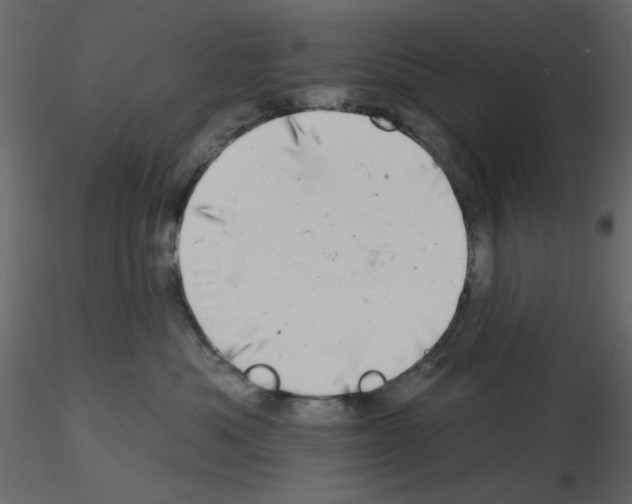 X0000115670525200912241422