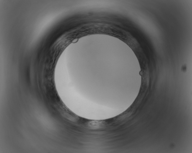 X0000115670526200912241422