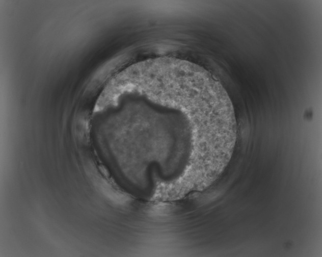 X0000115670527200912241422