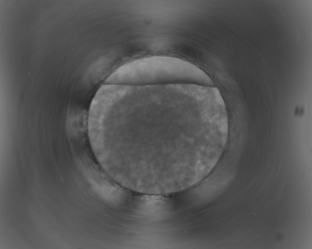 X0000115670528200912241422