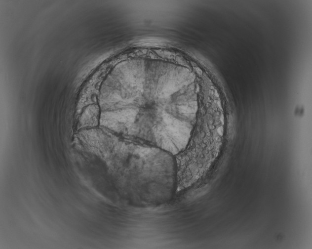 X0000115670529200912241421