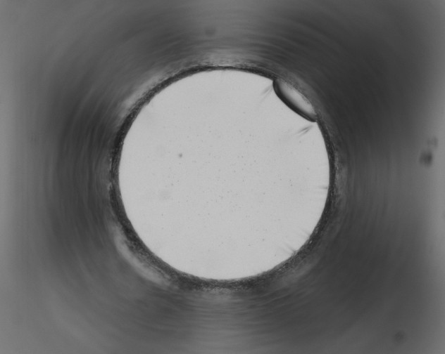 X0000115670530200912241421