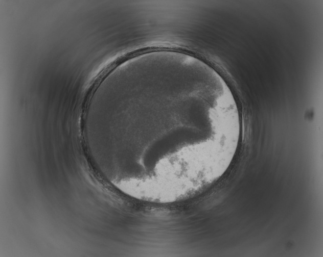 X0000115670531200912241421