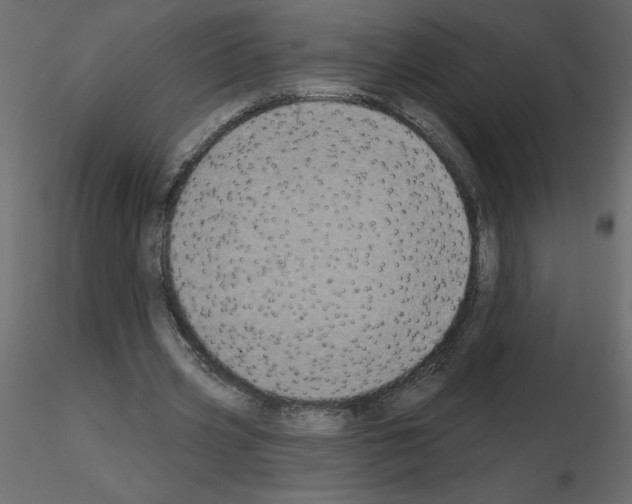 X0000115670533200912241422