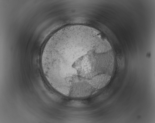 X0000115670534200912241422