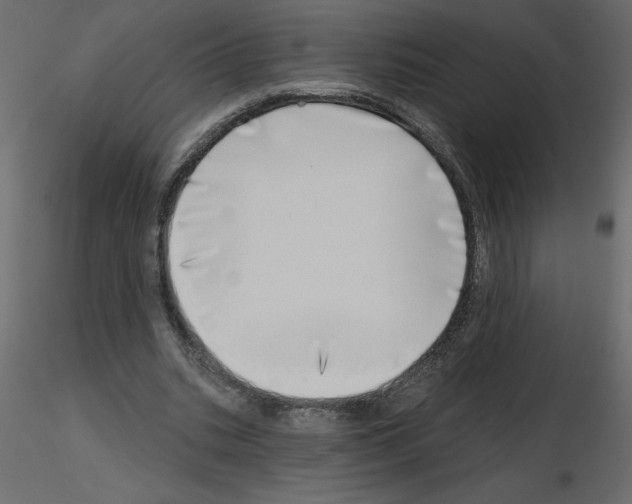 X0000115670535200912241422