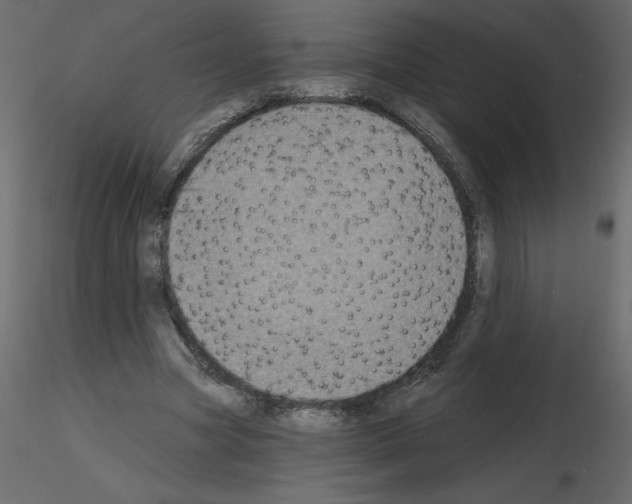 X0000115670537200912241422