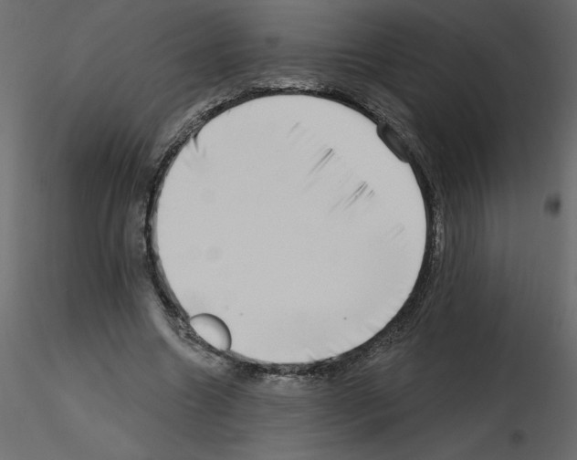 X0000115670538200912241422