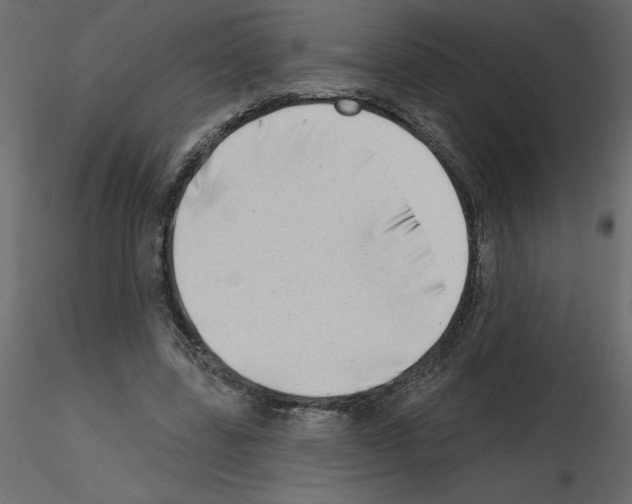 X0000115670539200912241422