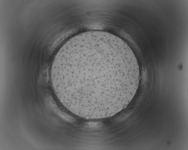 X0000115670541200912241422