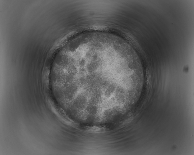 X0000115670542200912241422