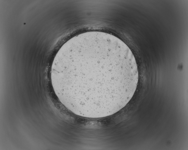 X0000115670543200912241422