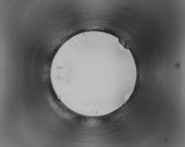 X0000115670546200912241422