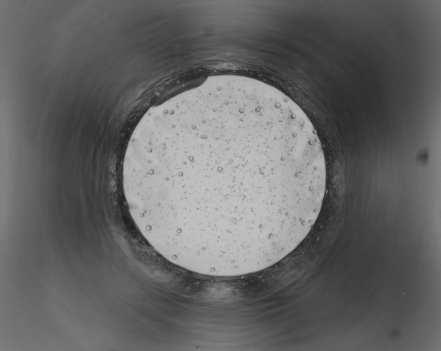 X0000115670547200912241422