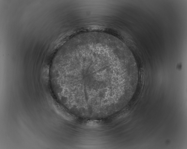 X0000115670550200912241422