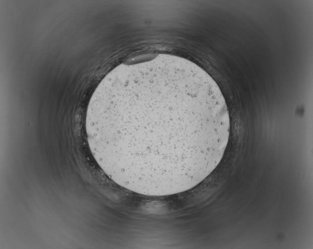 X0000115670551200912241422