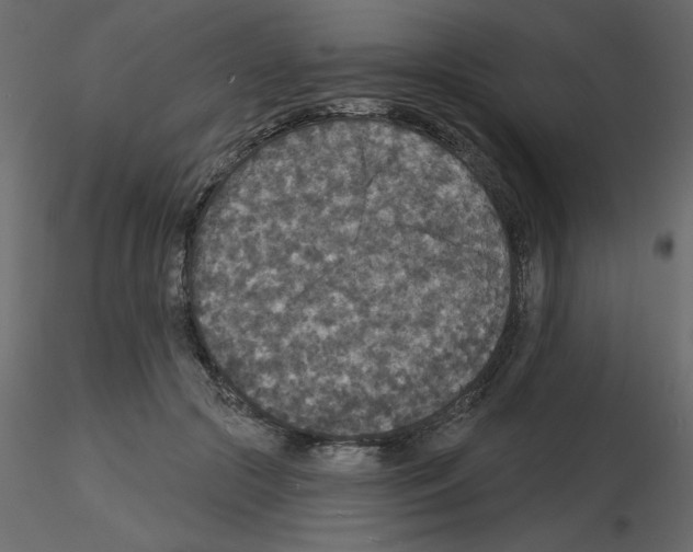 X0000115670553200912241422