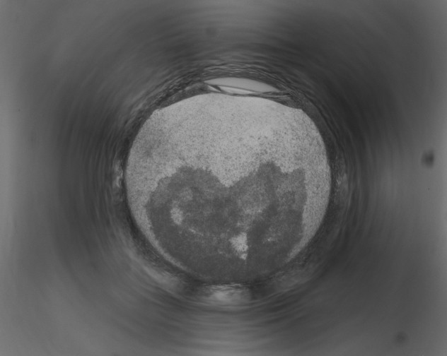 X0000115670555200912241422