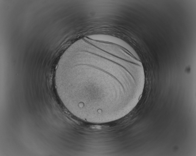 X0000115670558200912241422