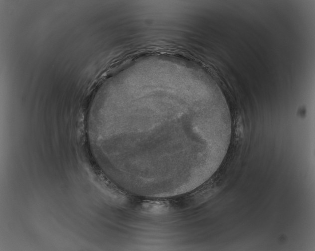 X0000115670559200912241422