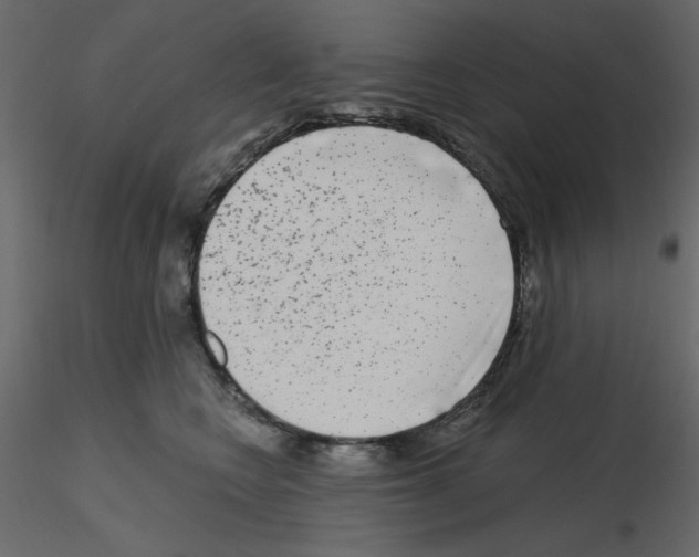 X0000115670566200912241422