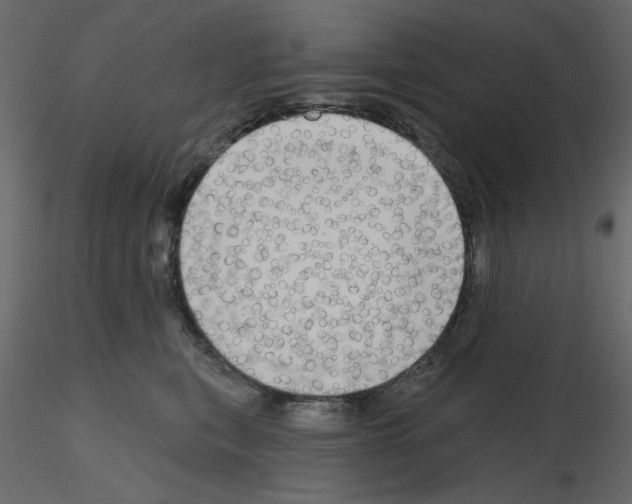 X0000115670567200912241422