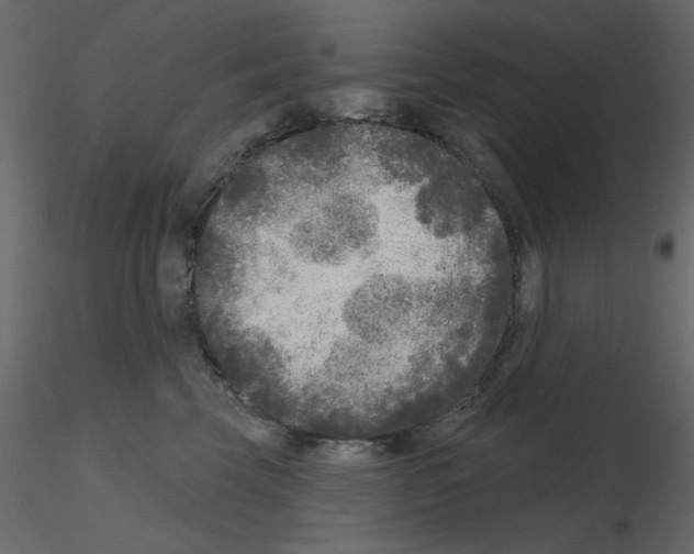 X0000115670569200912241422