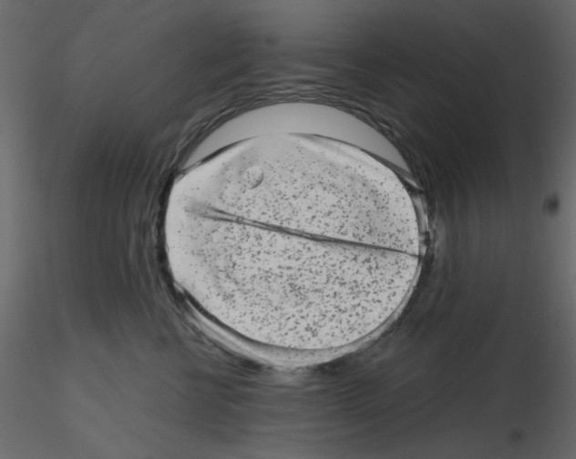 X0000115670570200912241422