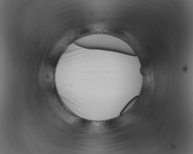 X0000115670573200912241422